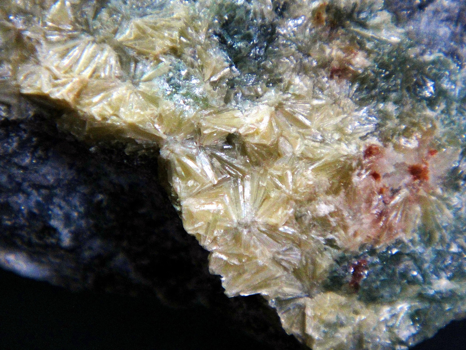 Pirofilita
Campo de visión 3 cm.
(Autor: Antonio P. López)