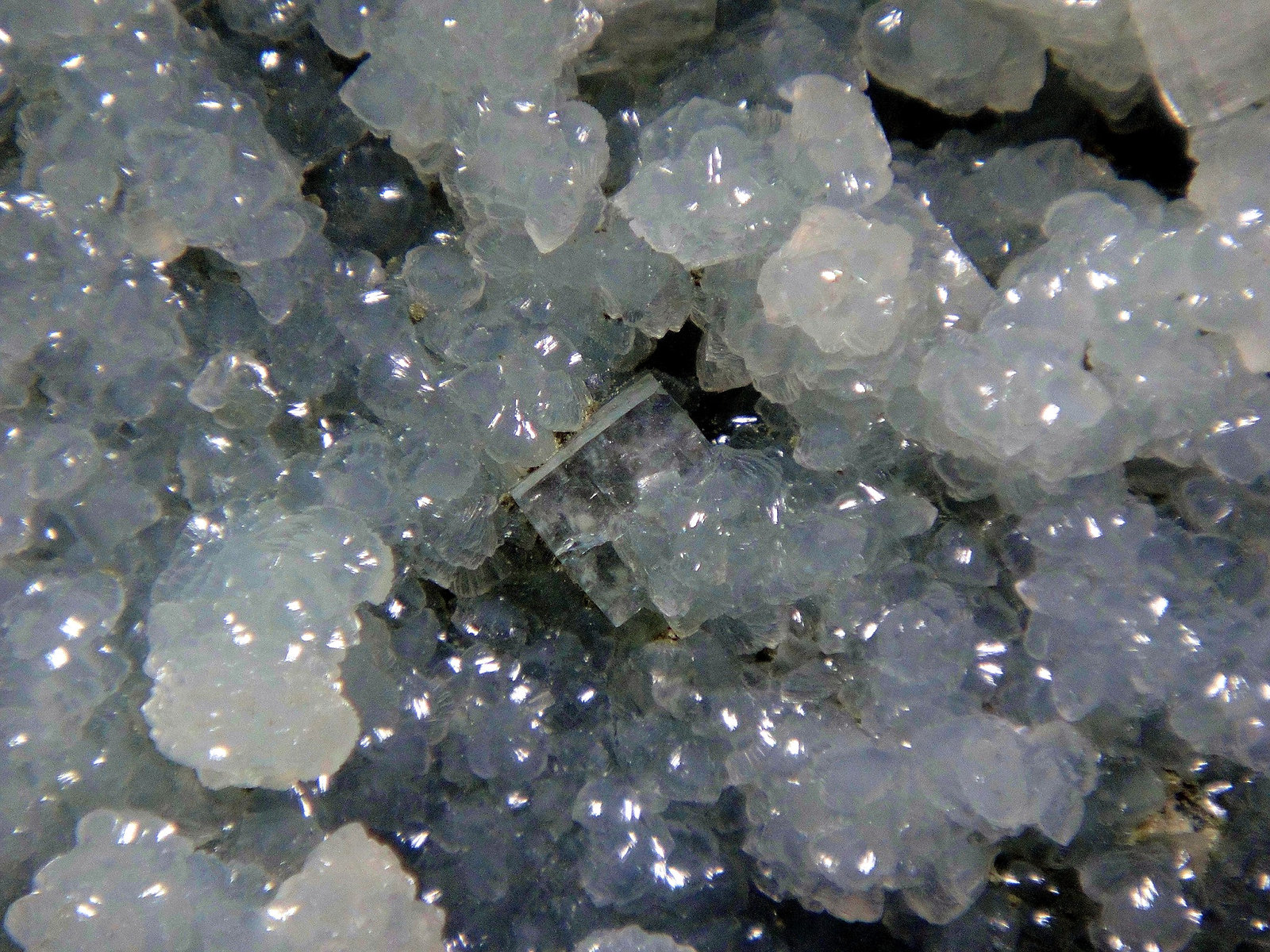 Prehnita, Fluorapophyllita-(K) (Apofilita)
Campo de visión 3 cm.
(Autor: Antonio P. López)