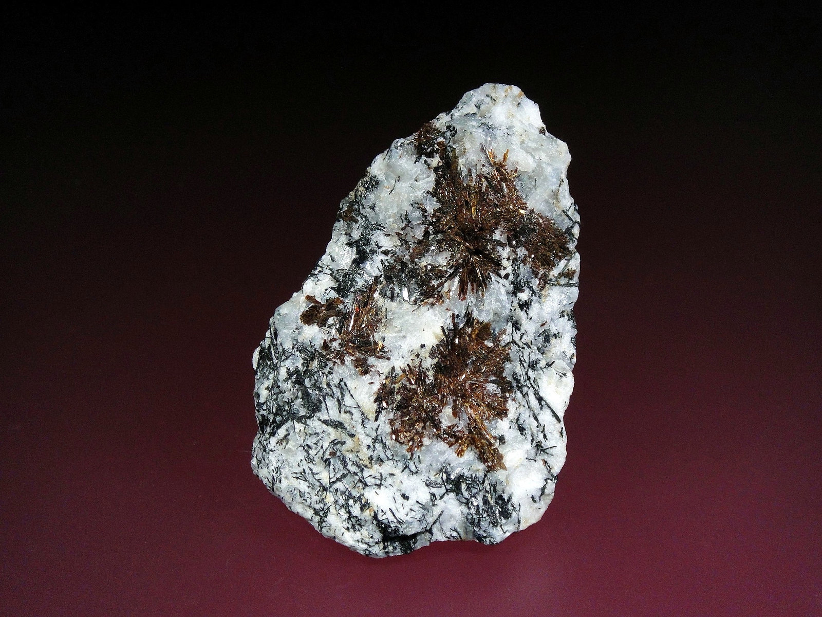 Astrofilita
7 x 4 cm.
(Autor: Antonio P. López)