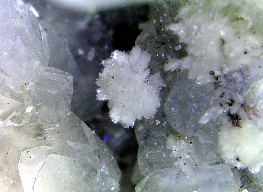 Oyelita, Calcita
Campo de visión 5 mm.
(Autor: Antonio P. López)