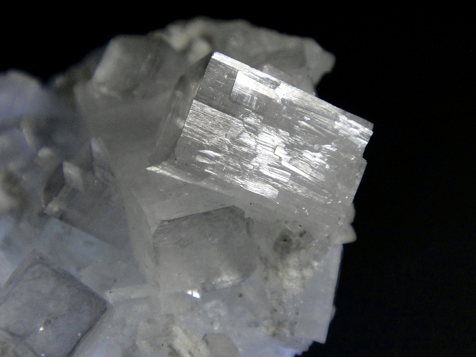 Fluorapophyllita-(K) (Apofilita)
Cristal de 1,5 cm.
(Autor: Antonio P. López)