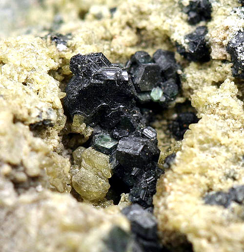 Clintonita
Campo de visión 2 cm.
(Autor: Antonio P. López)