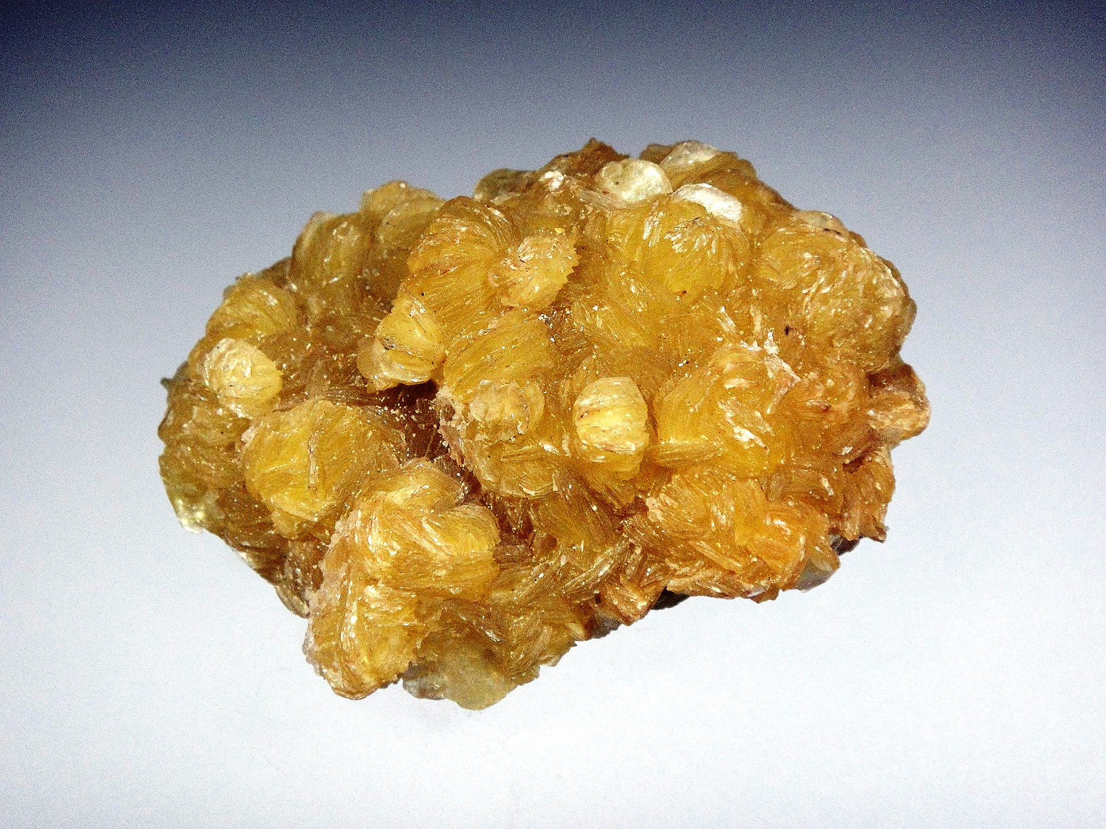 Moscovita
7 x 5 cm.
(Autor: Antonio P. López)