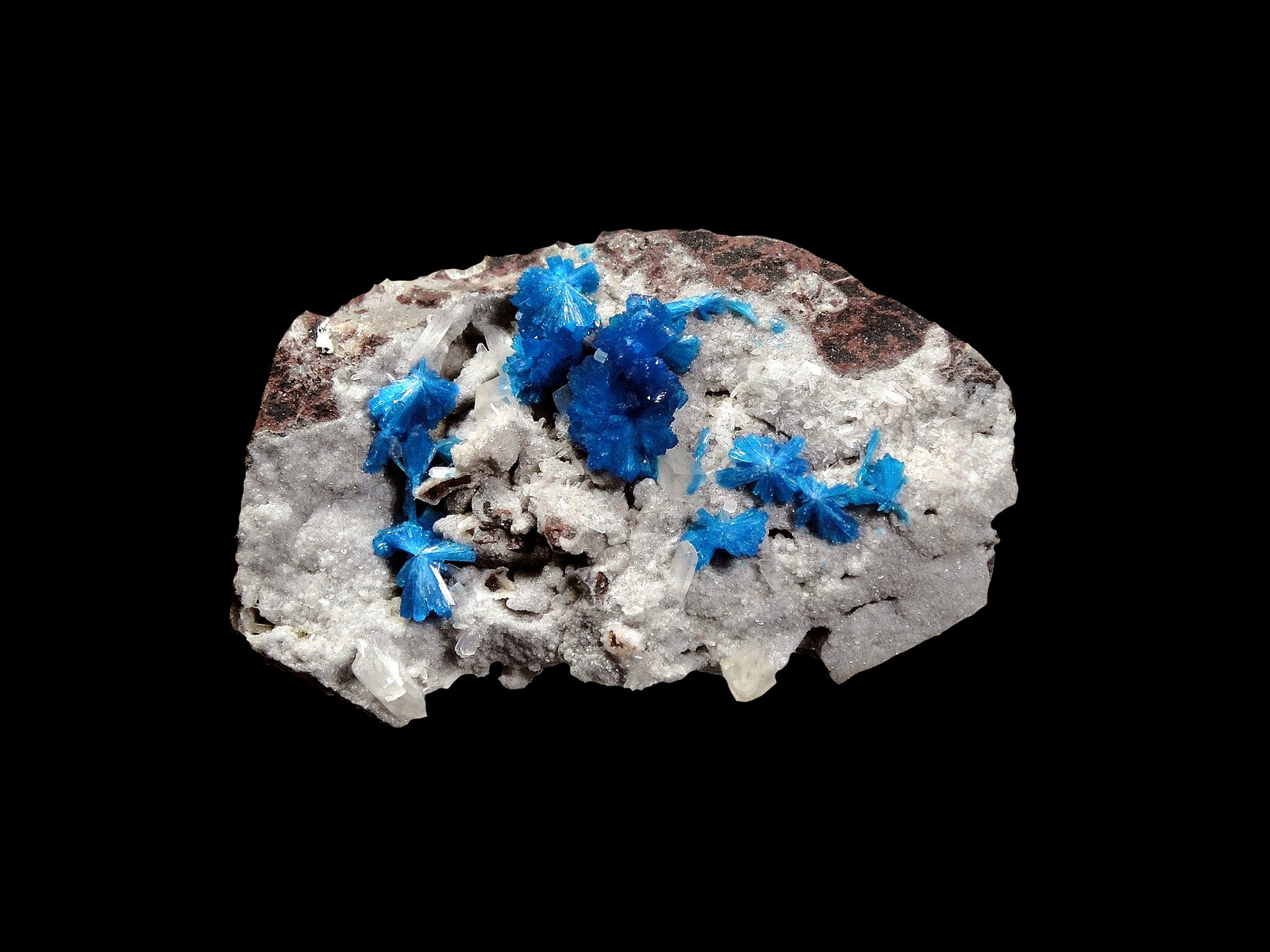Cavansita
6 x 3 cm.
(Autor: Antonio P. López)