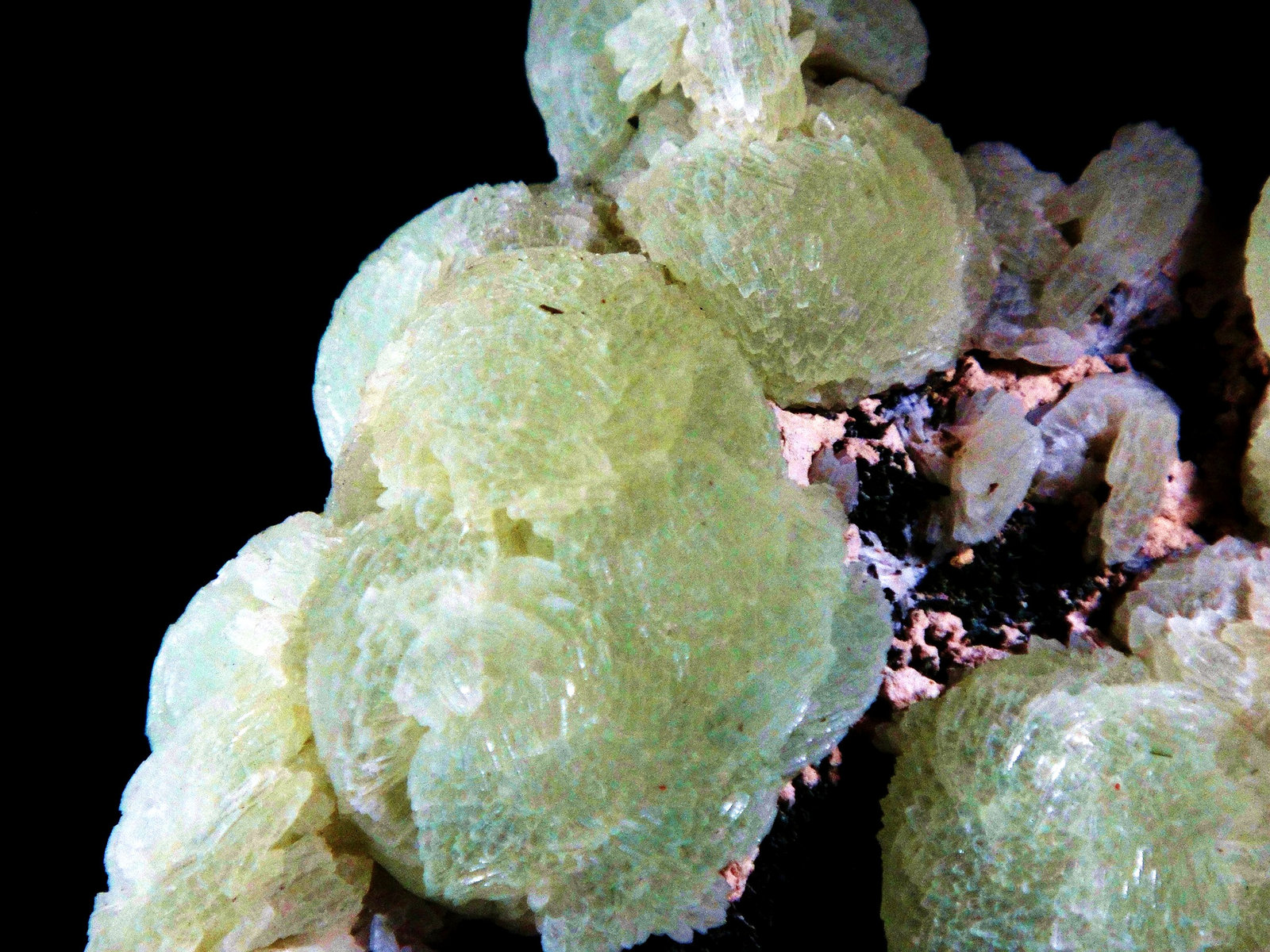 Prehnita
Campo de visión 4 cm.
(Autor: Antonio P. López)