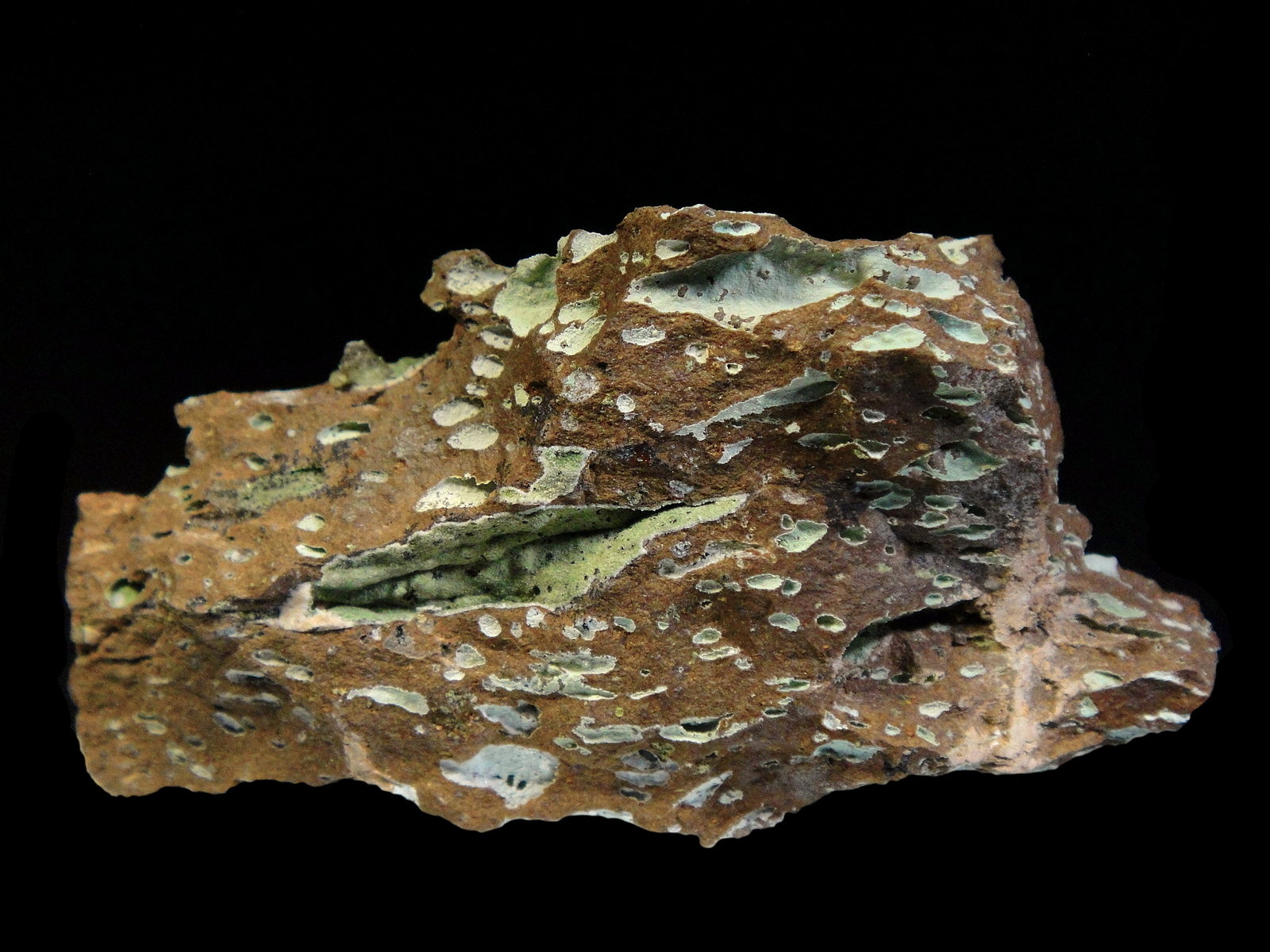 Celadonita
6 x 3 cm.
(Autor: Antonio P. López)