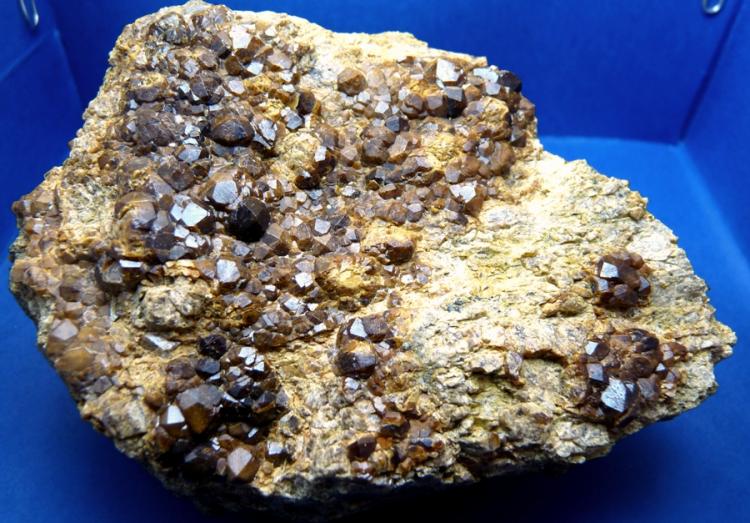 Granate
110 x 75 mm.
(Autor: Jesus Franquesa Baucells)