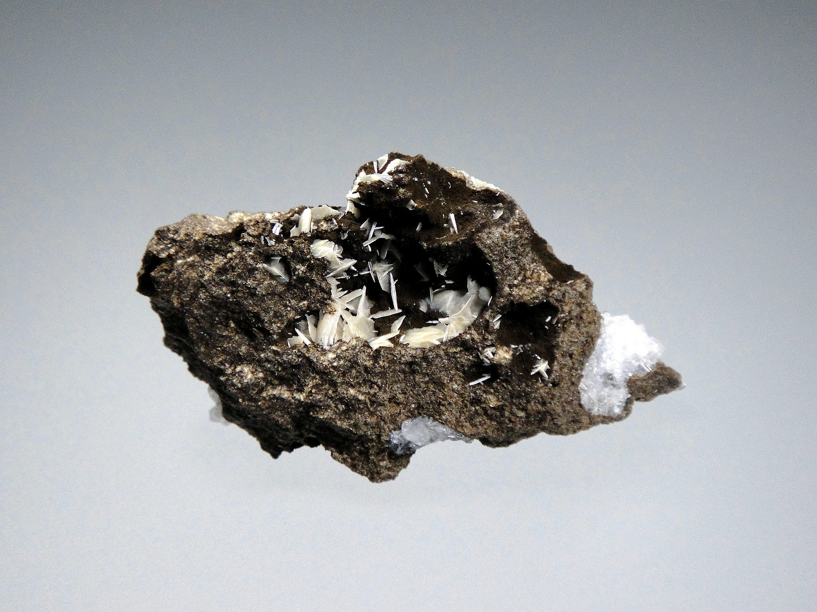 Levyna-Ca y Offretita
5 x 3 cm.
(Autor: Antonio P. López)