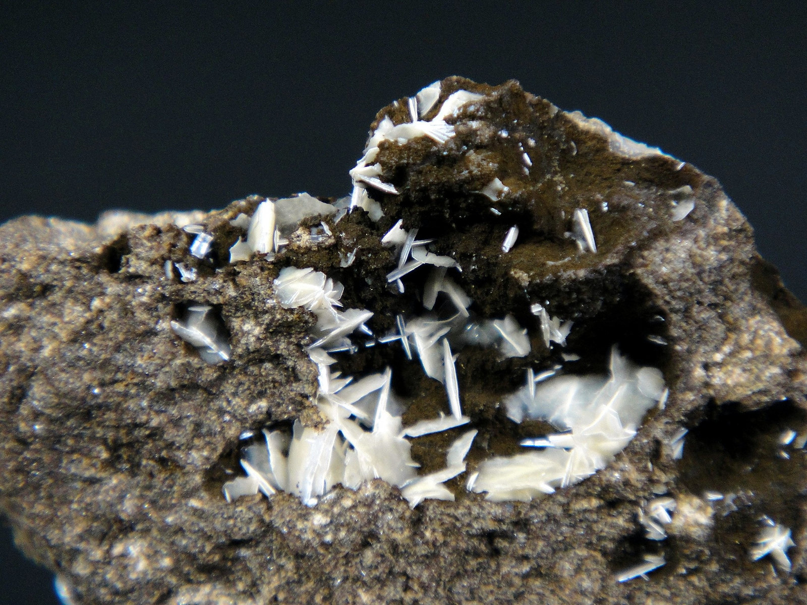 Levyna-Ca y Offretita
Campo de visión 4 cm.
(Autor: Antonio P. López)