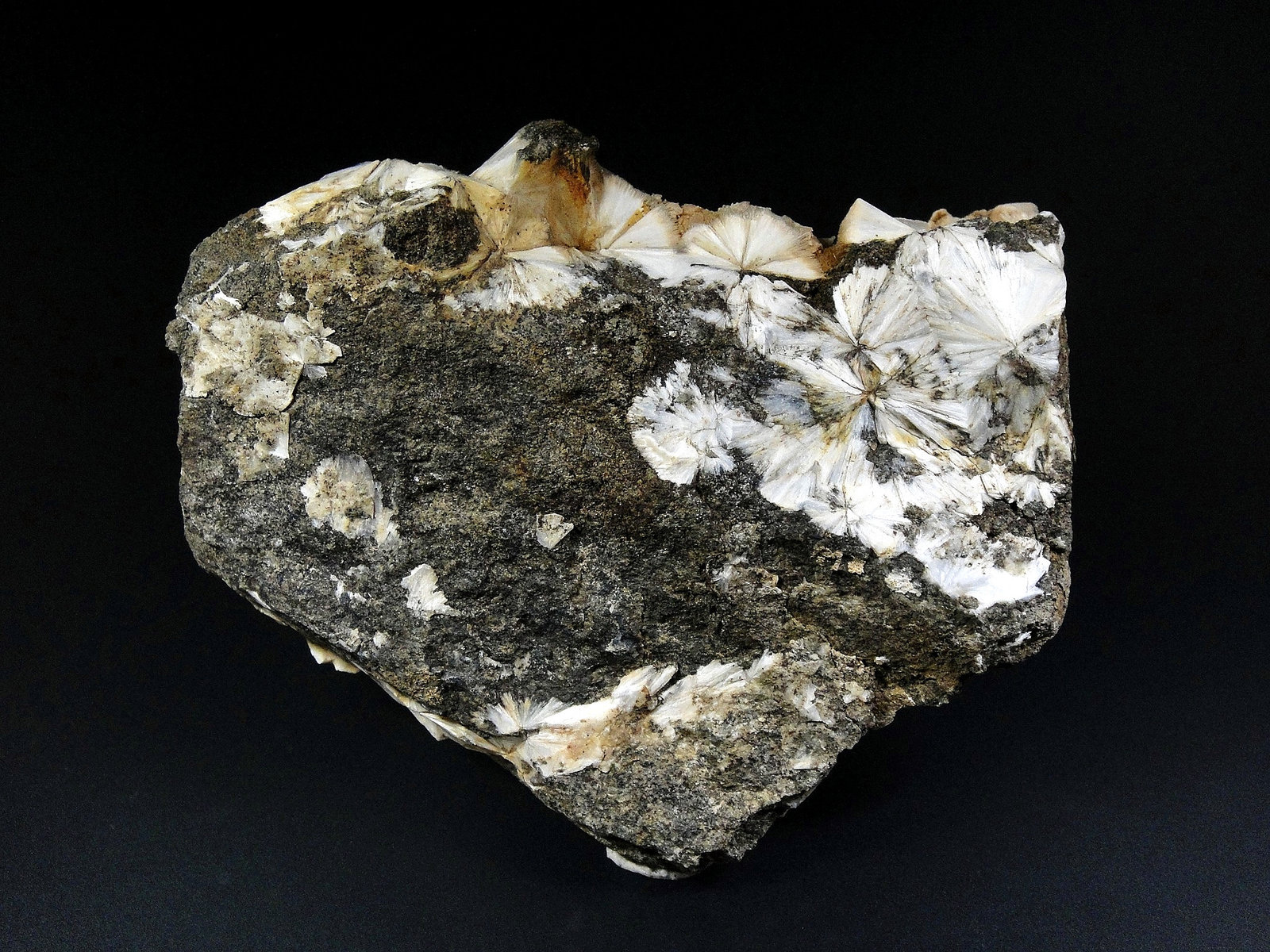 Escolecita
10 x 6 cm.
(Autor: Antonio P. López)