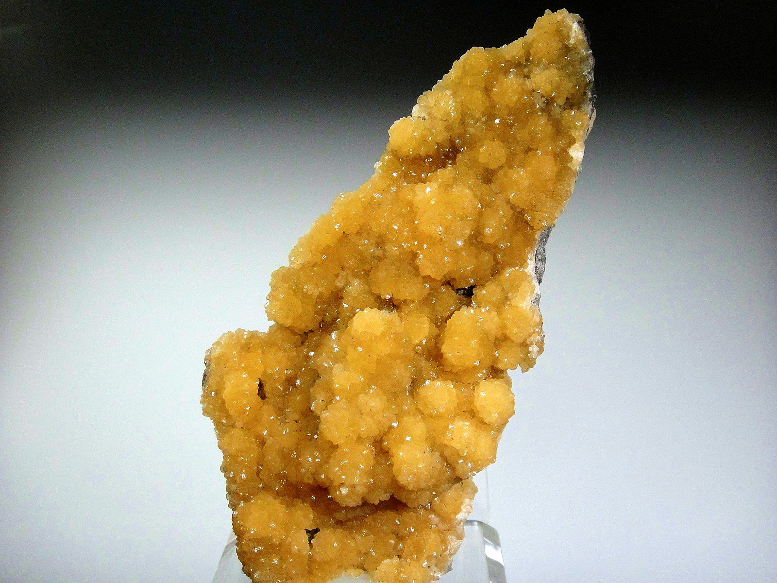 Stellerita
10 x 6 cm.
(Autor: Antonio P. López)
