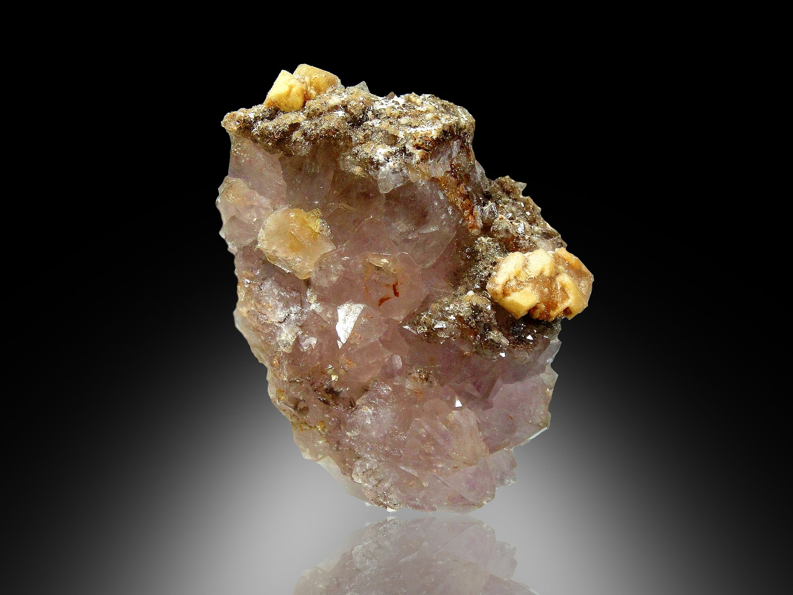 Cuarzo (variedad amatista)
6 x 4 cm.
(Autor: Antonio P. López)