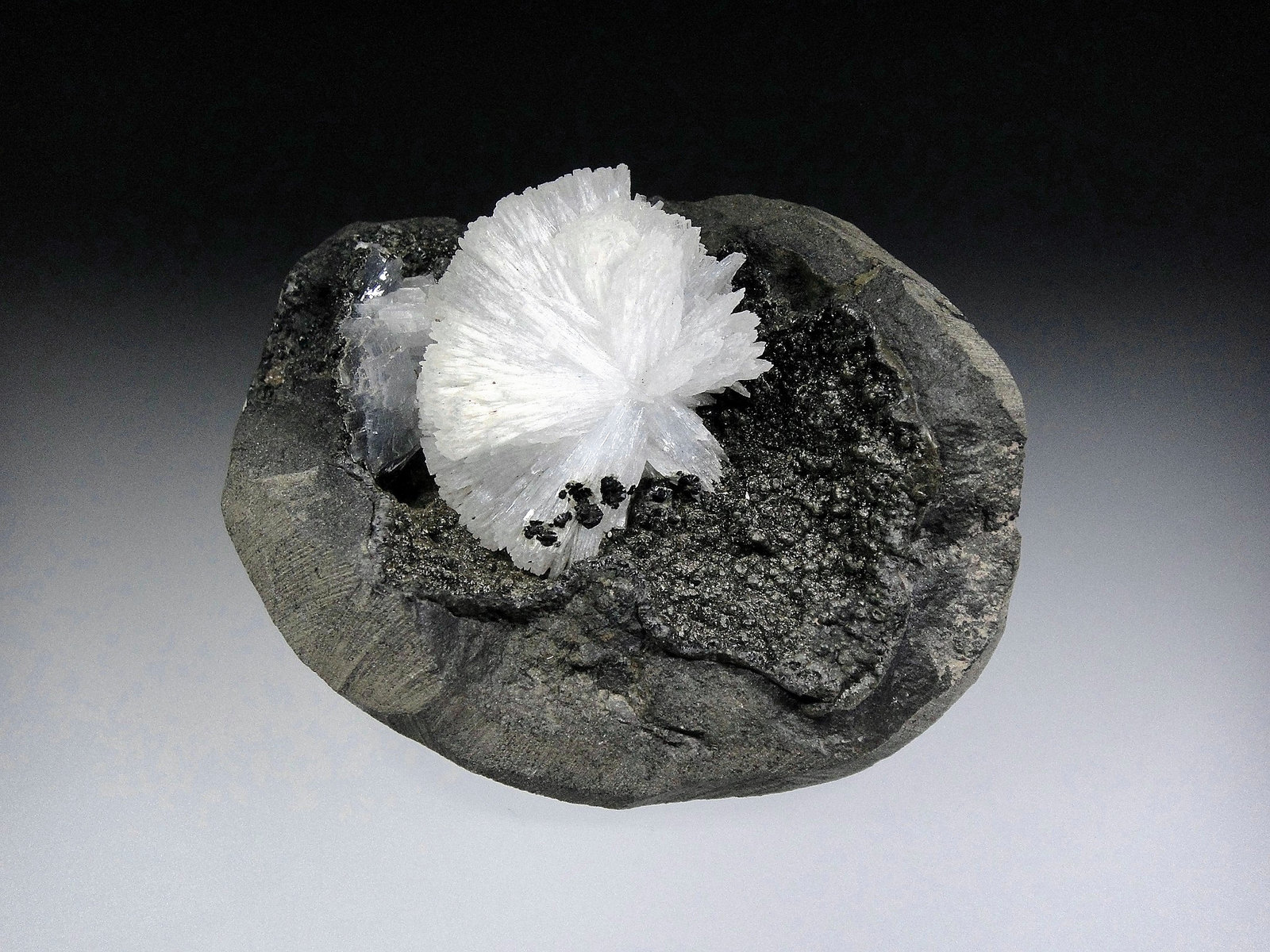 Epistilbita
8 x 6 cm.
(Autor: Antonio P. López)