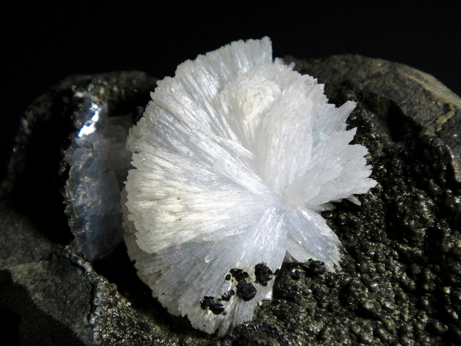 Epistilbita
Campo de visión 4,2 cm.
(Autor: Antonio P. López)