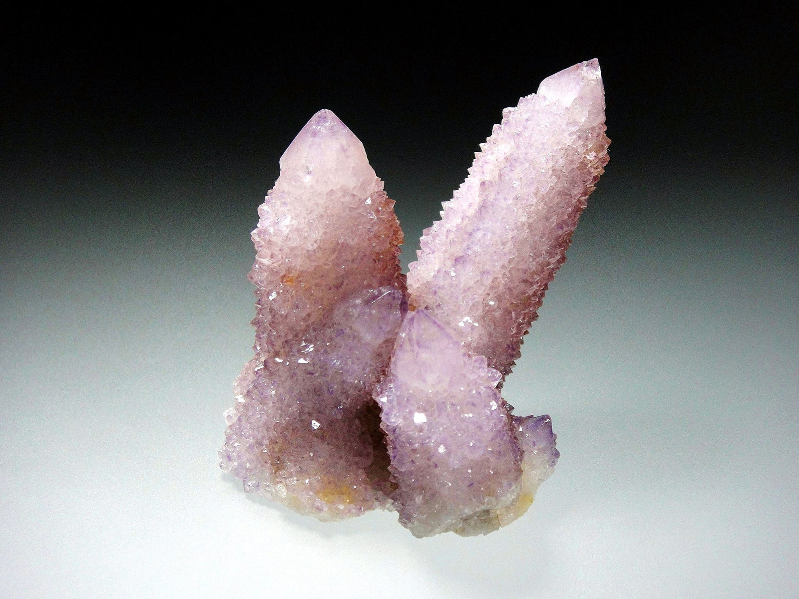 Cuarzo (variedad amatista)
7 x 5 cm.
(Autor: Antonio P. López)