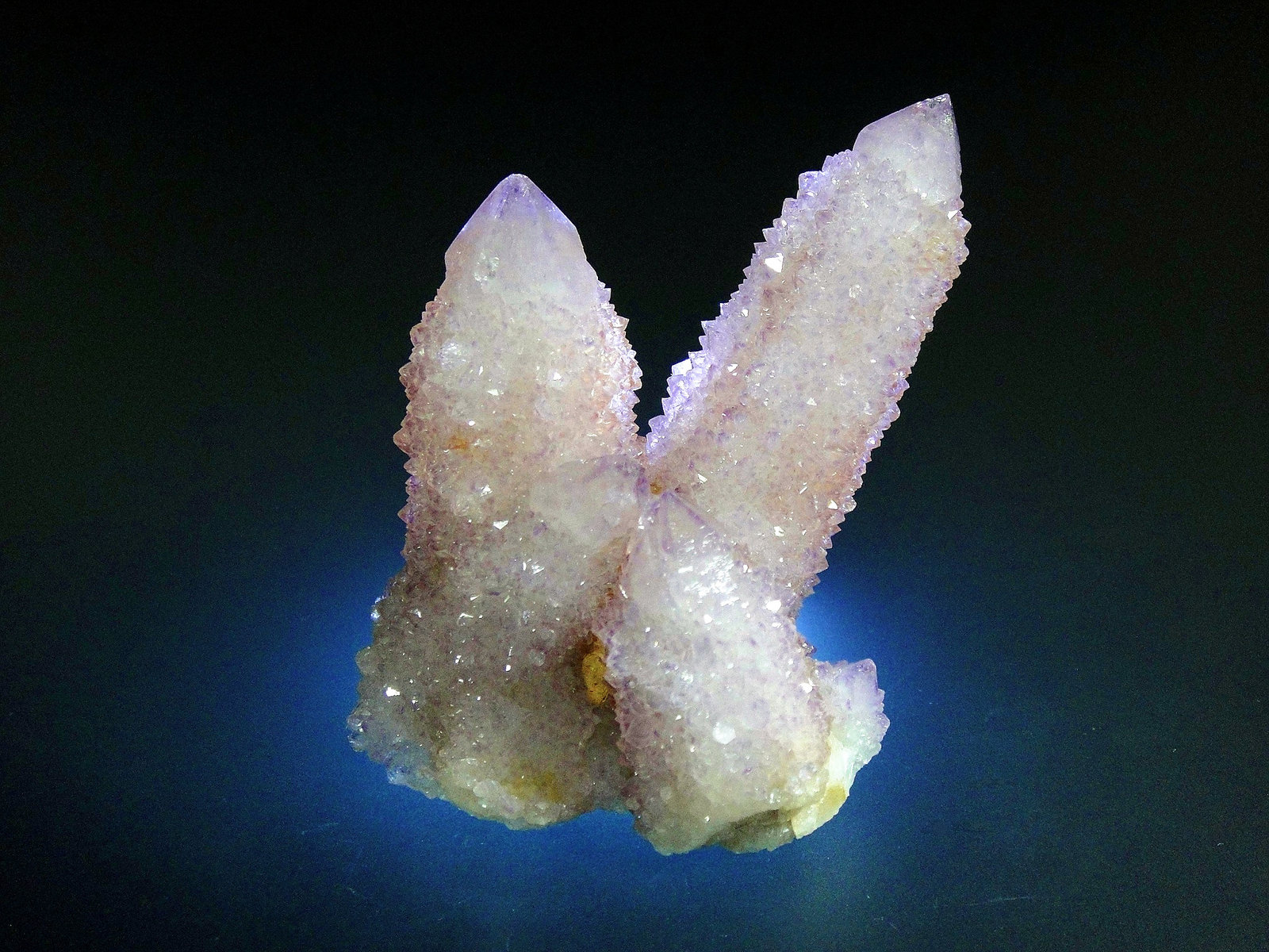 Cuarzo (variedad amatista)
7 x 5 cm.
(Autor: Antonio P. López)