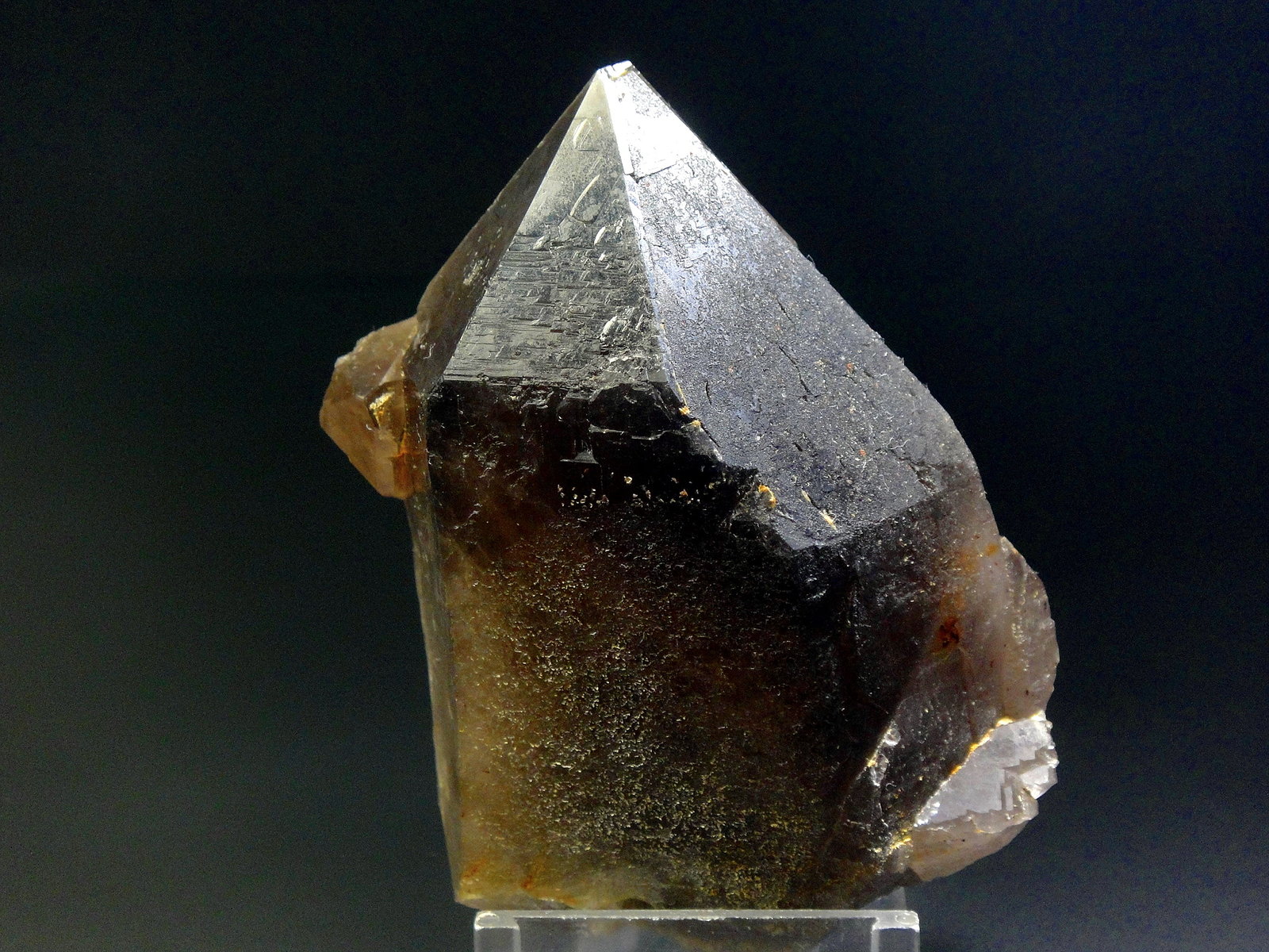 Cuarzo (variedad ahumado)
8 x 6 cm.
(Autor: Antonio P. López)