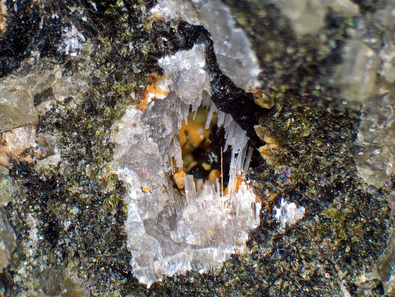 Kalsilita
Campo de visión 10 mm.
(Autor: Antonio P. López)