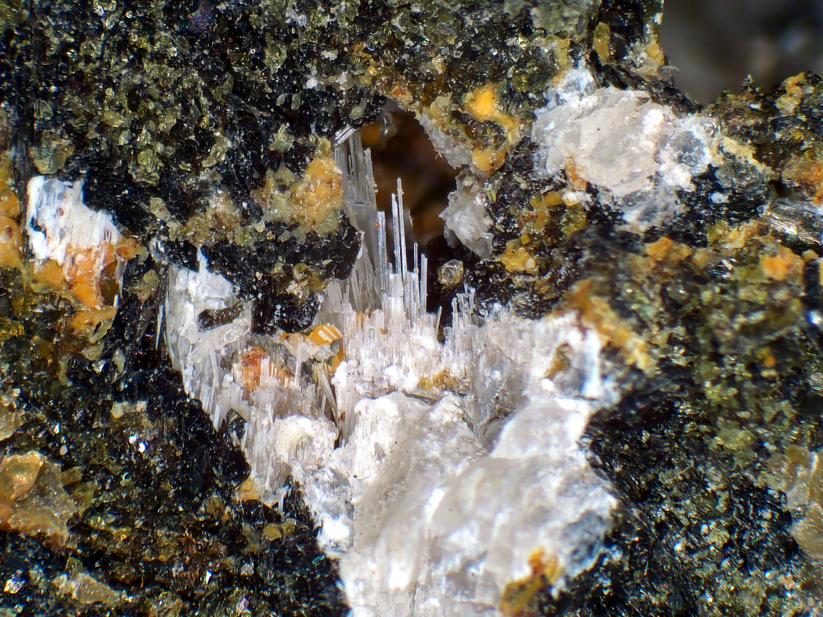 Kalsilita
Campo de visión 4 mm.
(Autor: Antonio P. López)