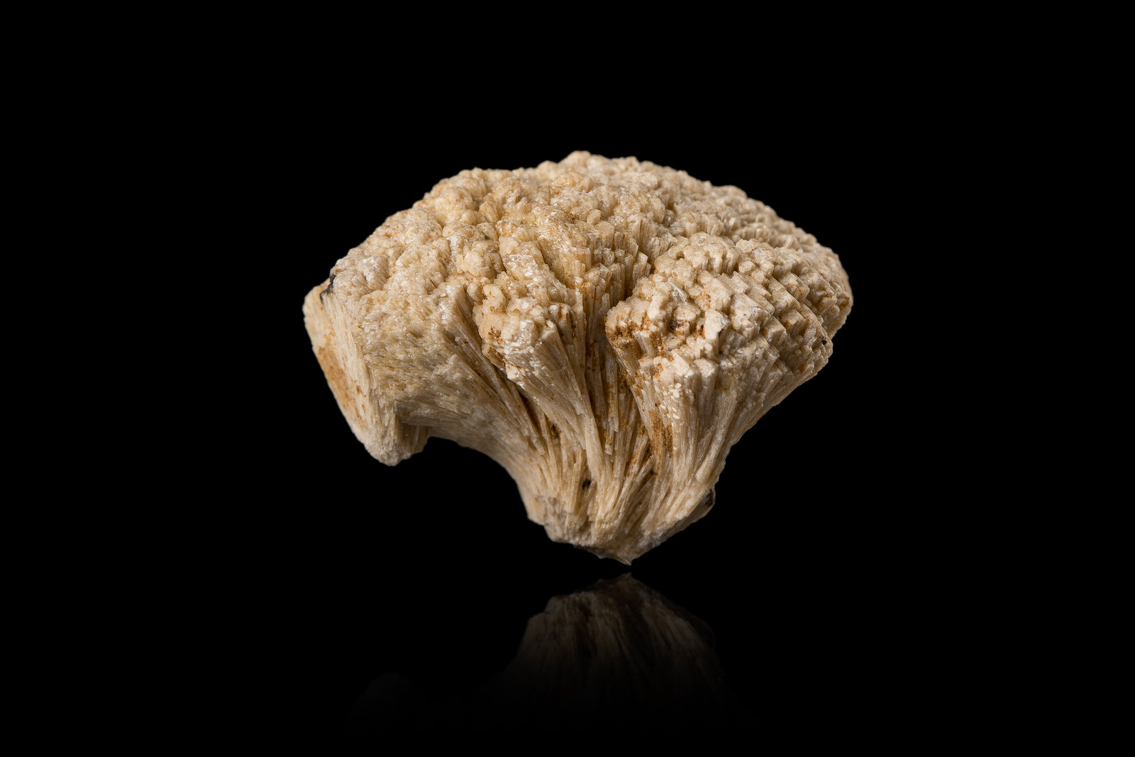 Kainosita
2,5 x 2,5 x 2,5 cm
(Autor: Museo MIM)