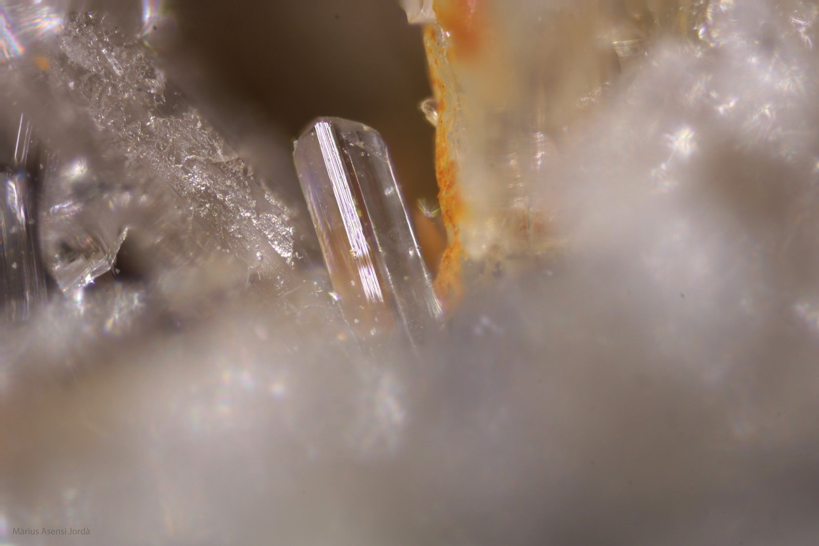 Anglesita
Cristal 0,5 x 0,2 mm
(Autor: Jorgina-Agusti-Màrius)