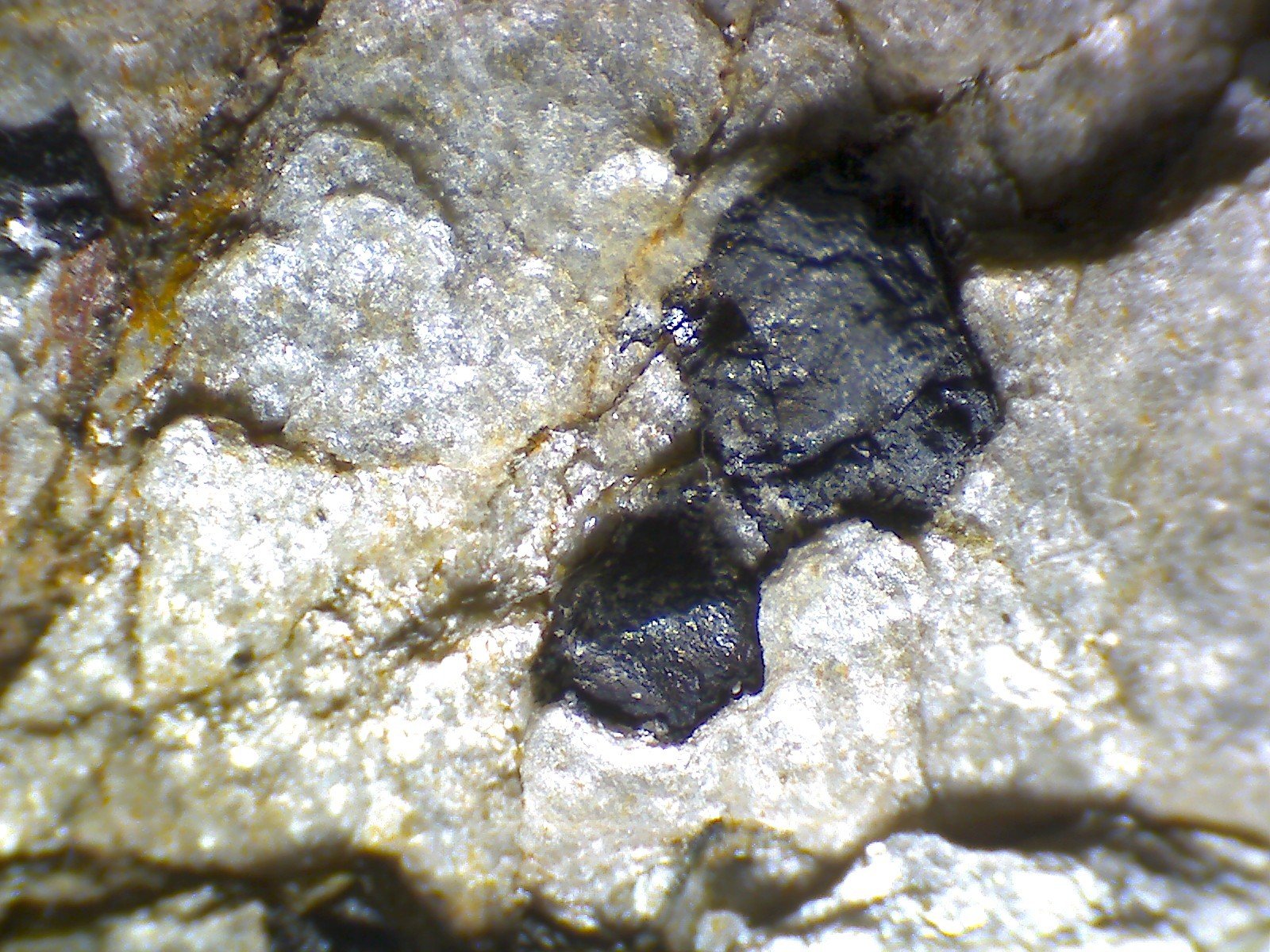 Cloritoide
80X
(Autor: prcantos)