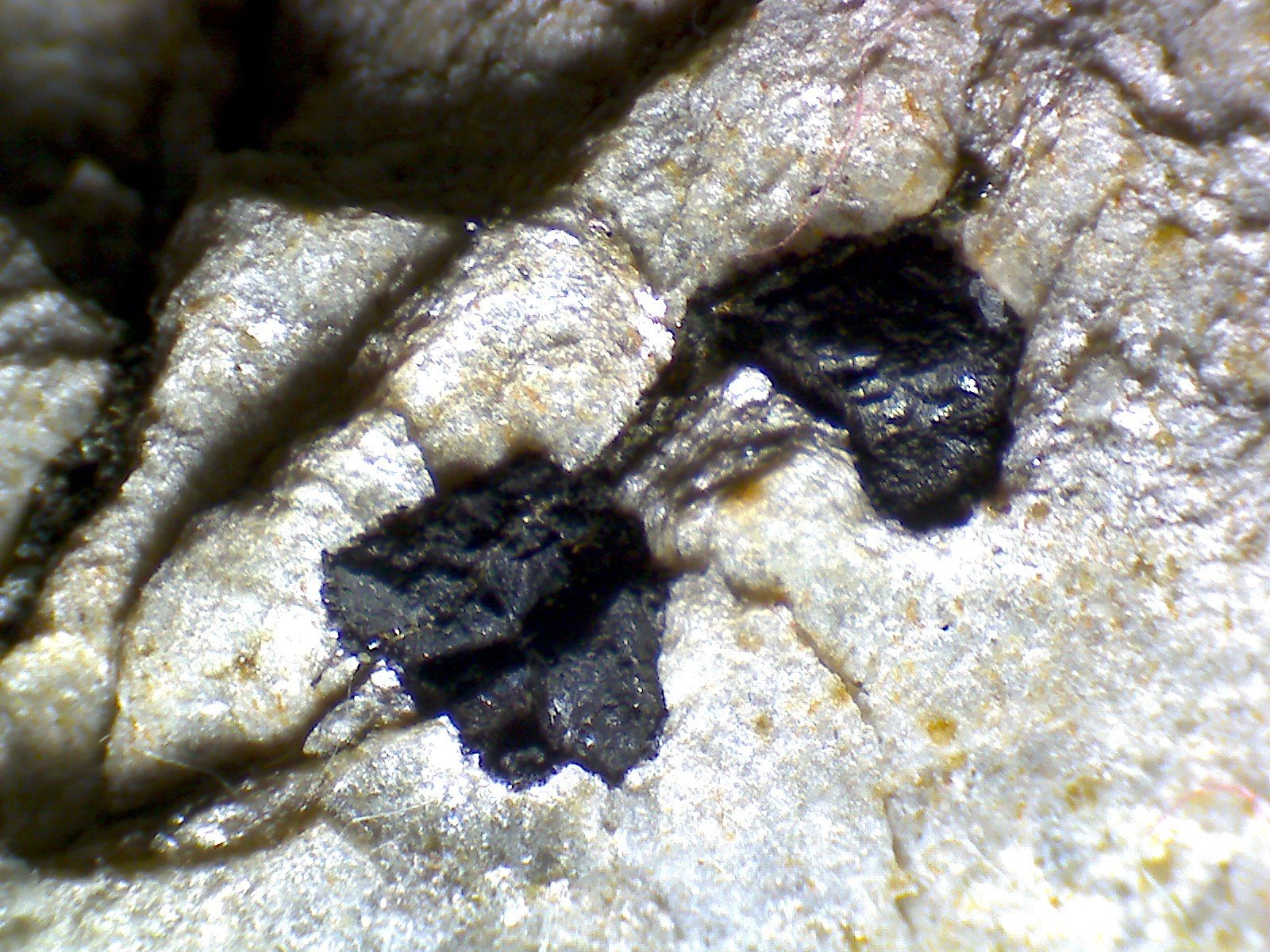 Cloritoide
80X
(Autor: prcantos)