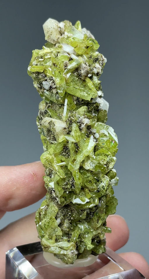 Titanita, Albita
85 mm x 34 mm.. Cristal mayor: 12 mm. Masa: 95 g.
(Autor: Carles Millan)