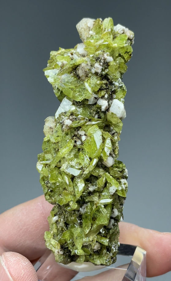 Titanita, Albita
85 mm x 34 mm.. Cristal mayor: 12 mm. Masa: 95 g.
(Autor: Carles Millan)