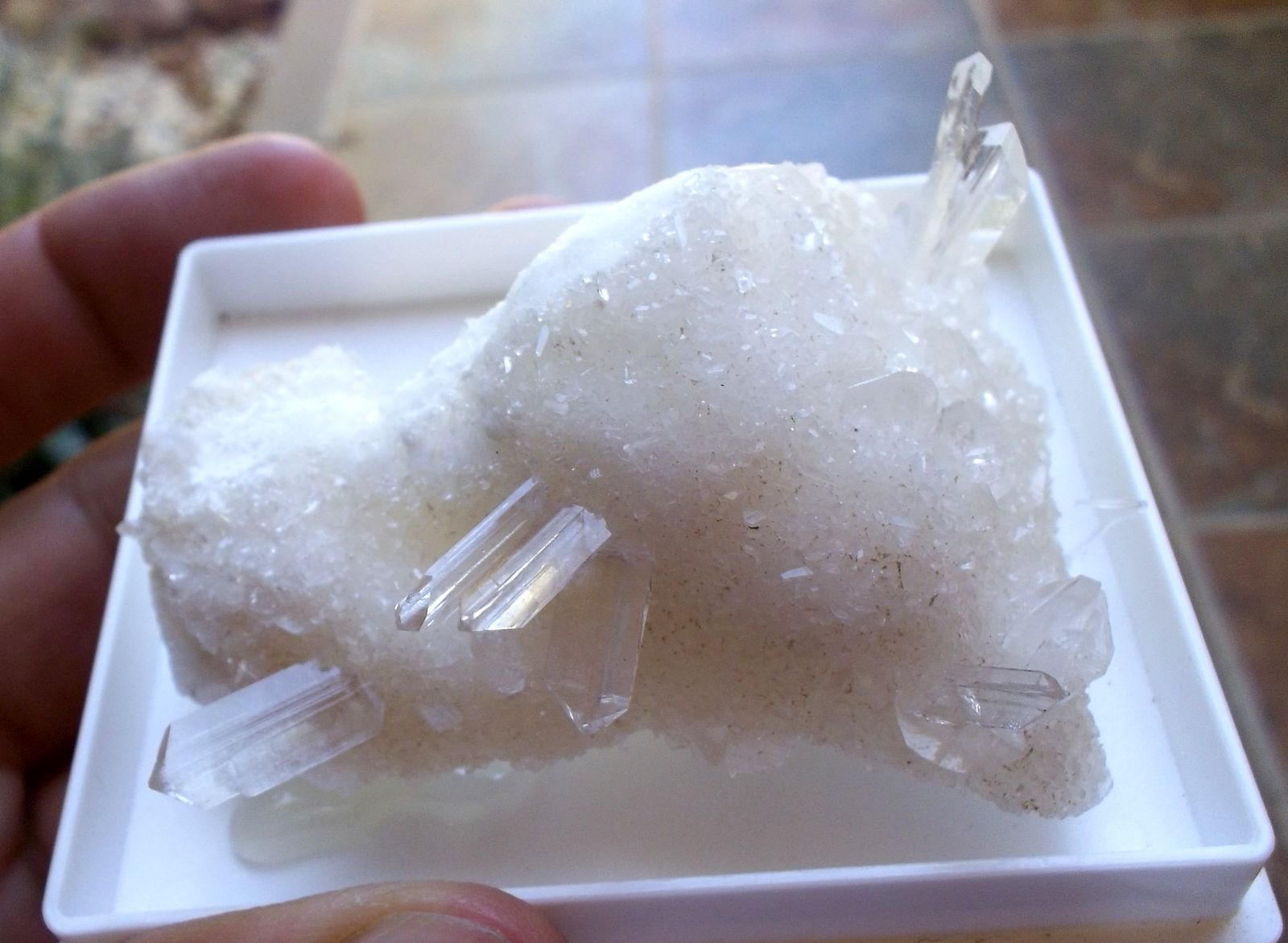 Yeso
Cristales de hasta 1,5 cm.
(Autor: Cristalino)