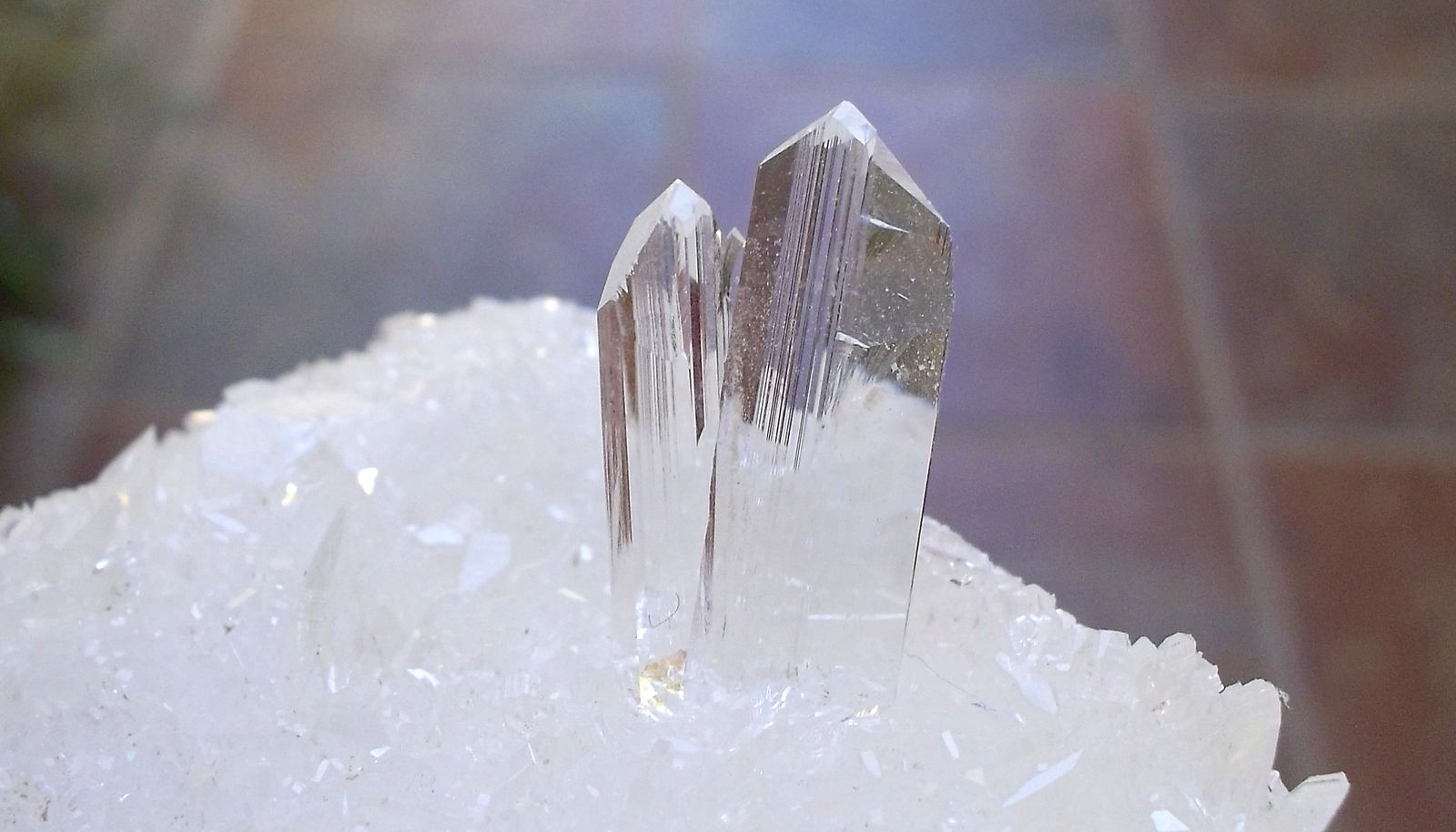 Yeso
Cristales de hasta 1,5 cm.
(Autor: Cristalino)