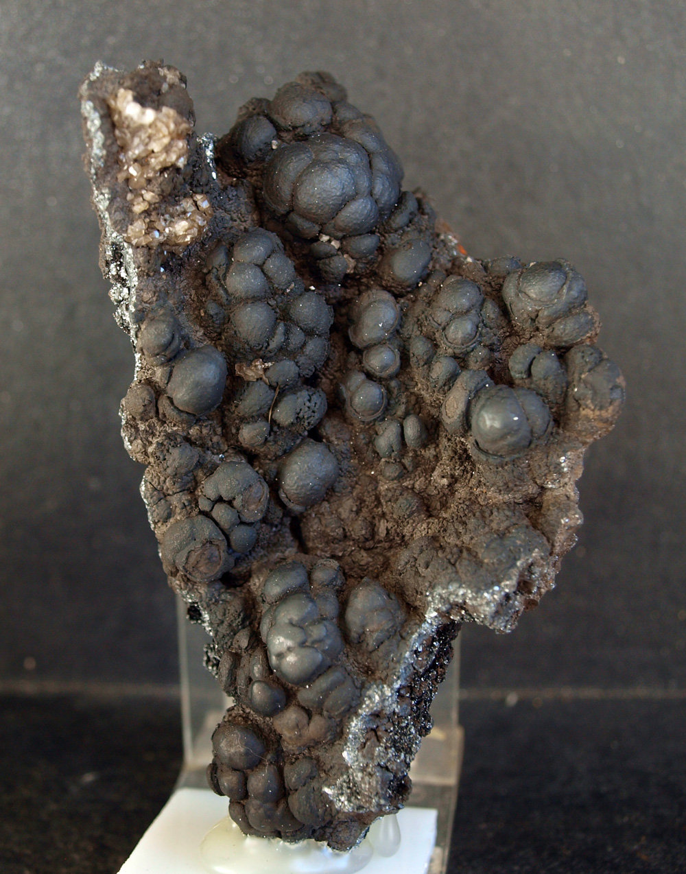 Psilomelana
10 x 6 cm
(Autor: Pedro Antonio)
