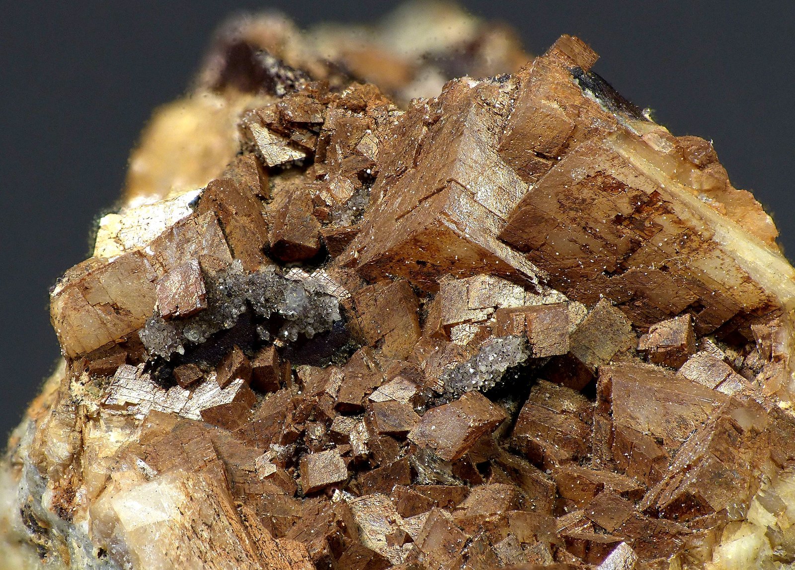 Dolomita (variedad dolomita ferrífera), Siderita, Cuarzo
c.v. 14 x 10 mm
(Autor: Javier Rodriguez)