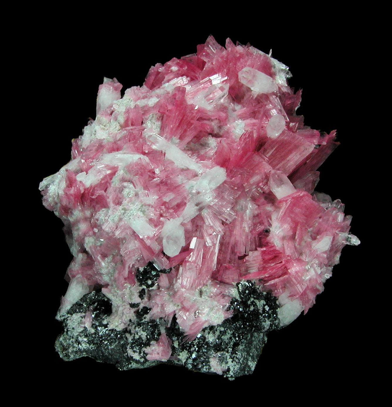 Rodonita, cuarzo, esfalerita, pirita
53mm x 52mm x 40mm. Cristal principal de rodonita: 10mm altura, 6mm anchura, 1mm grosor. Masa: 112g.
(Autor: Carles Millan)