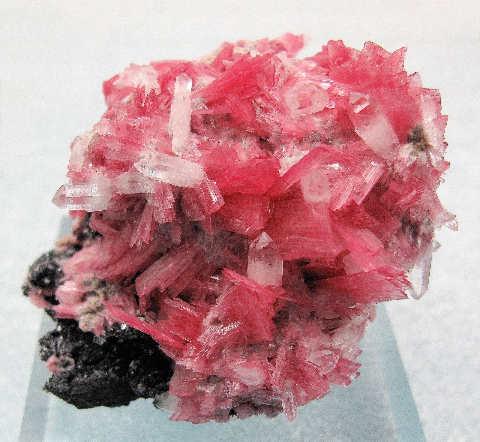 Rodonita, cuarzo, esfalerita, pirita
53mm x 52mm x 40mm. Cristal principal de rodonita: 10mm altura, 6mm anchura, 1mm grosor. Masa: 112g
(Autor: Carles Millan)