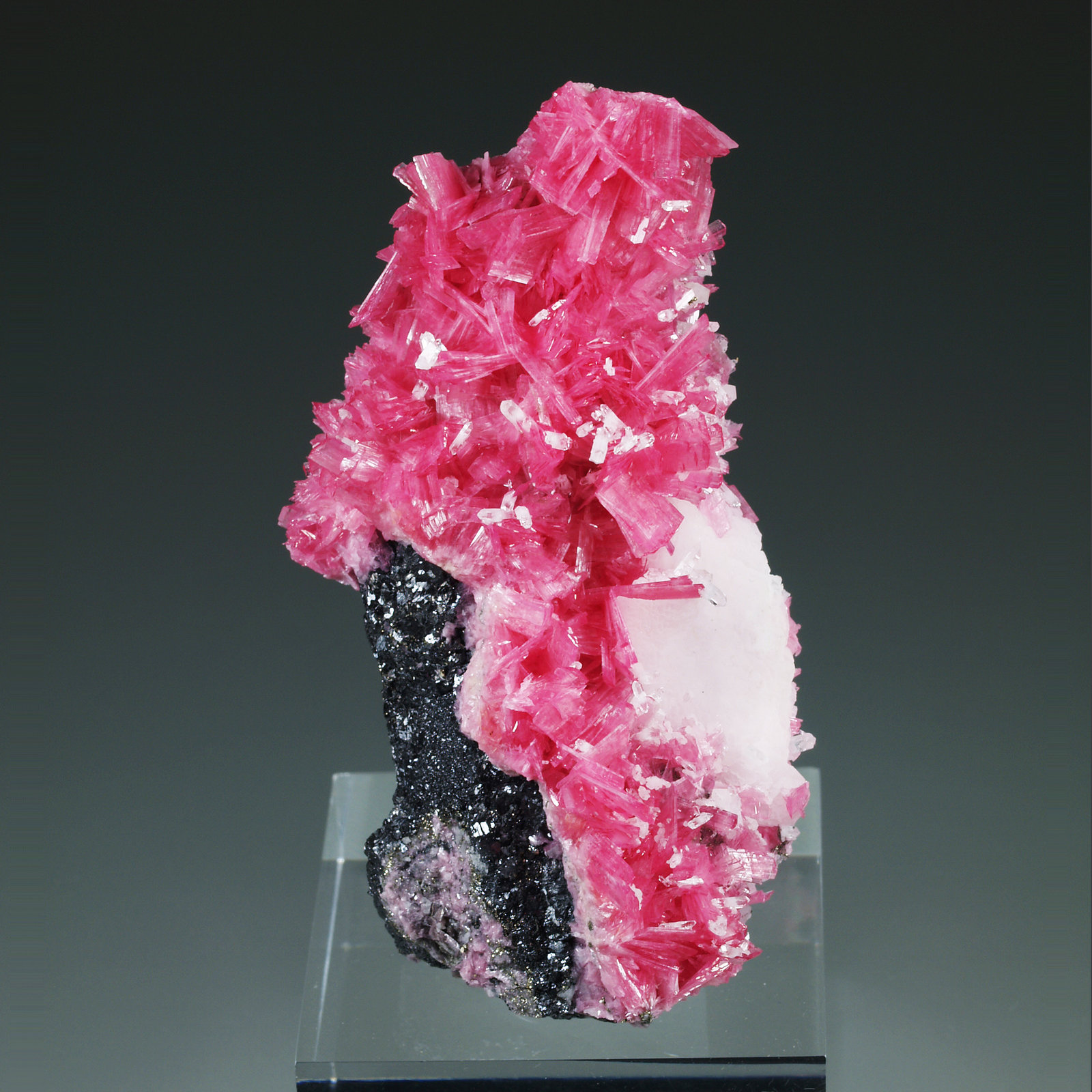 Rodonita, cuarzo, calcita, esfalerita
69 mm x 39 mm. Cristal principal de rodonita: ~9 mm de longitud. Masa: 84 g
(Autor: Carles Millan)