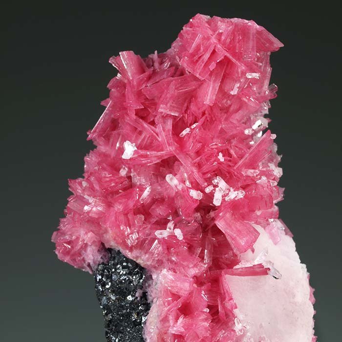 Rodonita, cuarzo, calcita, esfalerita
69 mm x 39 mm. Cristal principal de rodonita: ~9 mm de longitud. Masa: 84 g
(Autor: Carles Millan)