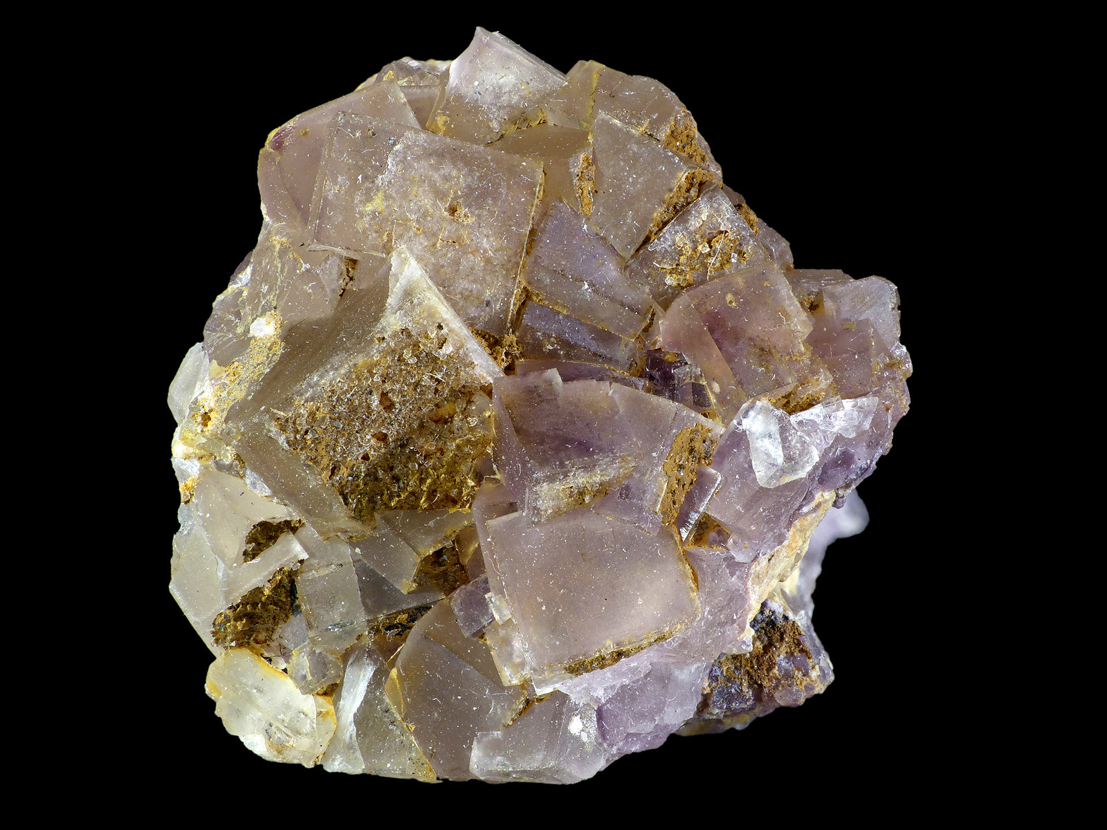 Fluorita
2,5 x 2,5 x 1,5  cm
(Autor: Javier Rodriguez)