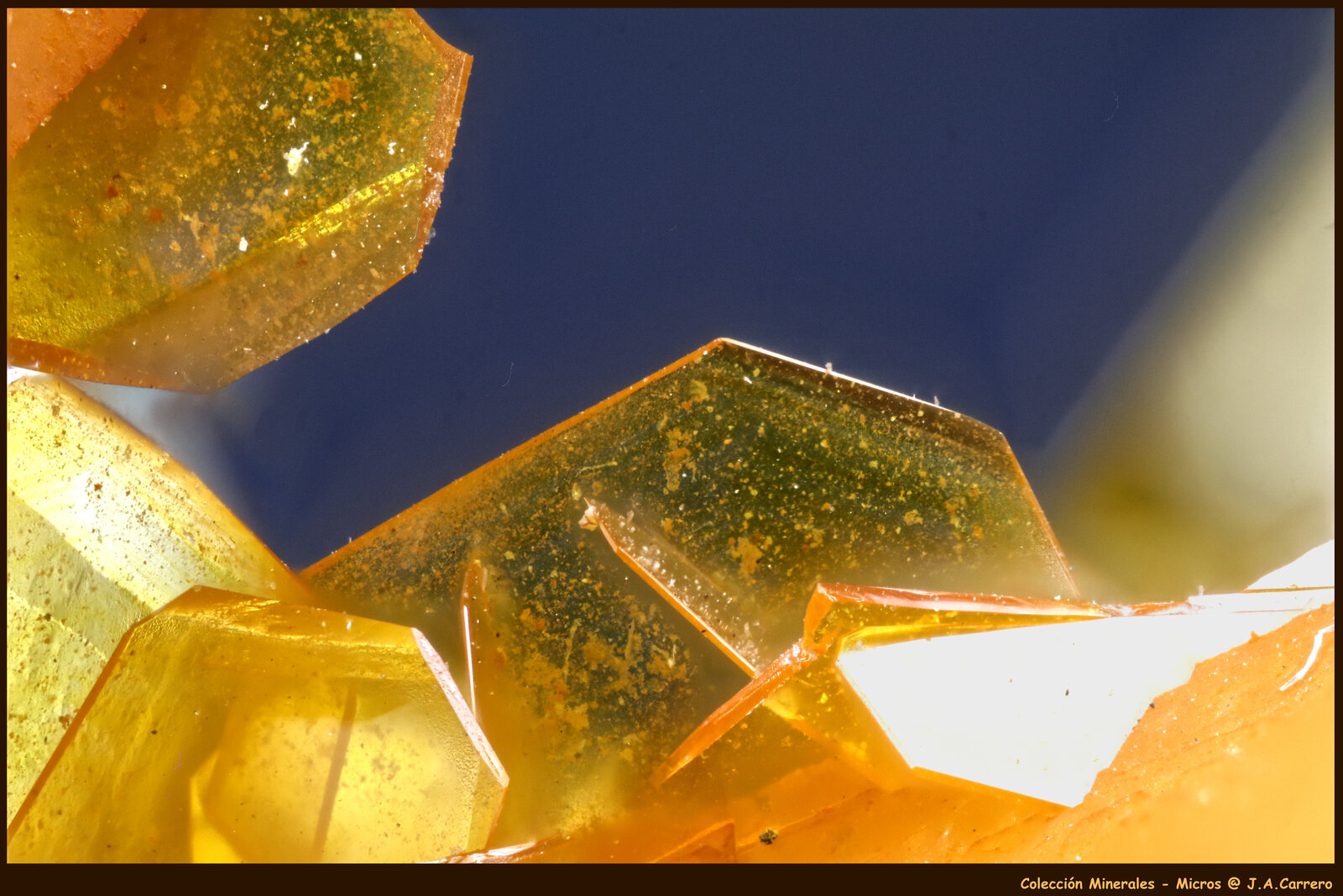 Wulfenita
FoV: 3 x 2 mm
(Autor: Jose Angel Carrero)