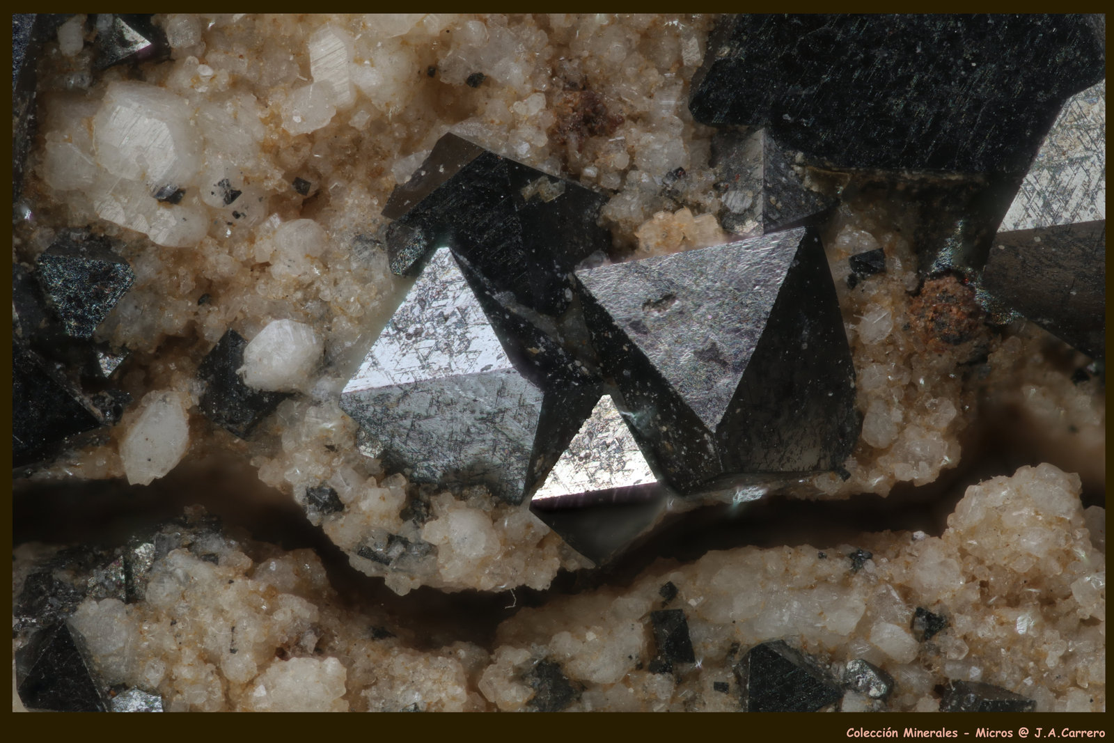 Magnetita
FoV: 2,5 x 1,8 mm
(Autor: Jose Angel Carrero)
