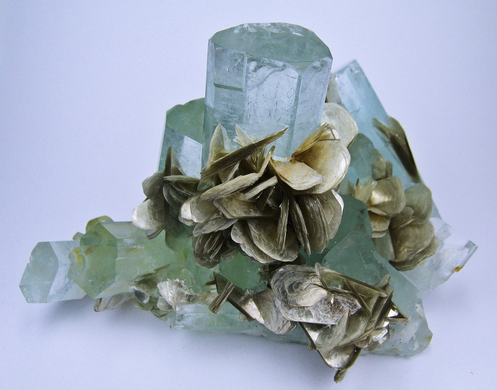 Berilo, Moscovita
100 mm x 70 mm. Cristal principal de berilo: 22 mm de anchura
(Autor: Carles Millan)
