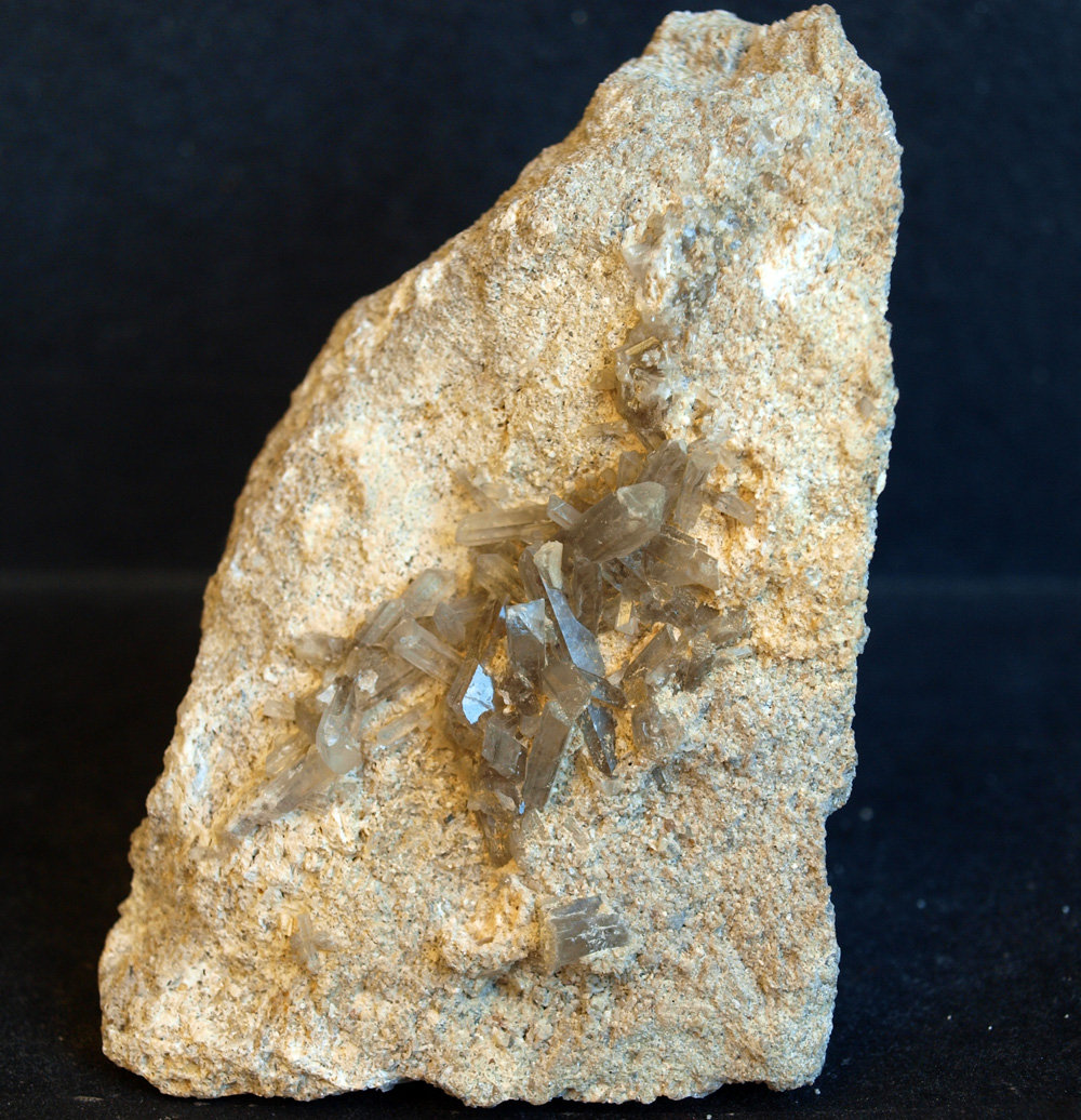 Celestina
9 x 6.5 cm
(Autor: Pedro Antonio)