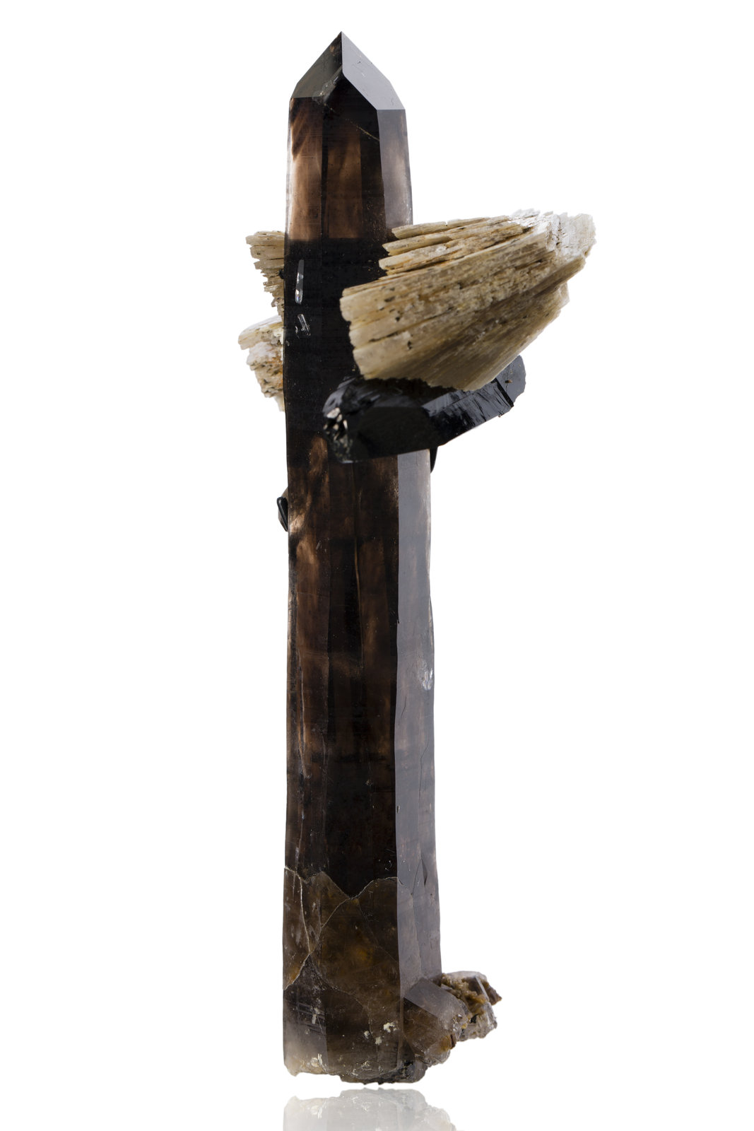 Eudidymita con Cuarzo (variedad ahumado) y Aegirina
6 x 5 x 15 cm
(Autor: Museo MIM)