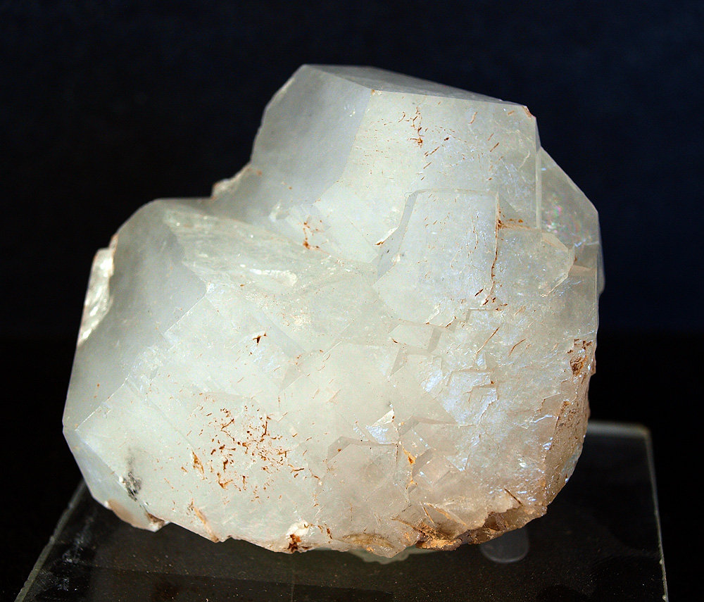 Celestina
5.5 x 5 cm
(Autor: Pedro Antonio)