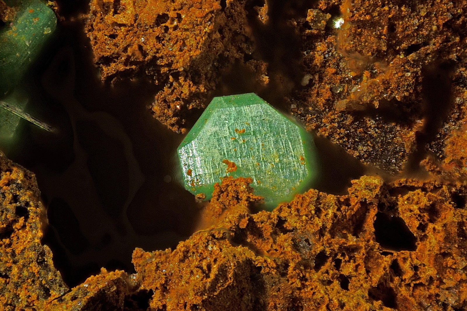 Torbernita
Cristal 1mm
(Autor: Jorgina-Agusti-Màrius)