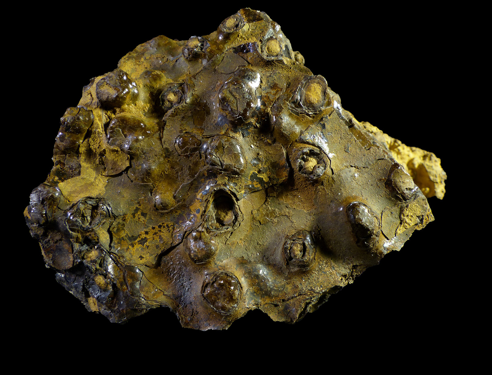 Goethita
5 x 3,5 x 1,5 cm
(Autor: Javier Rodriguez)