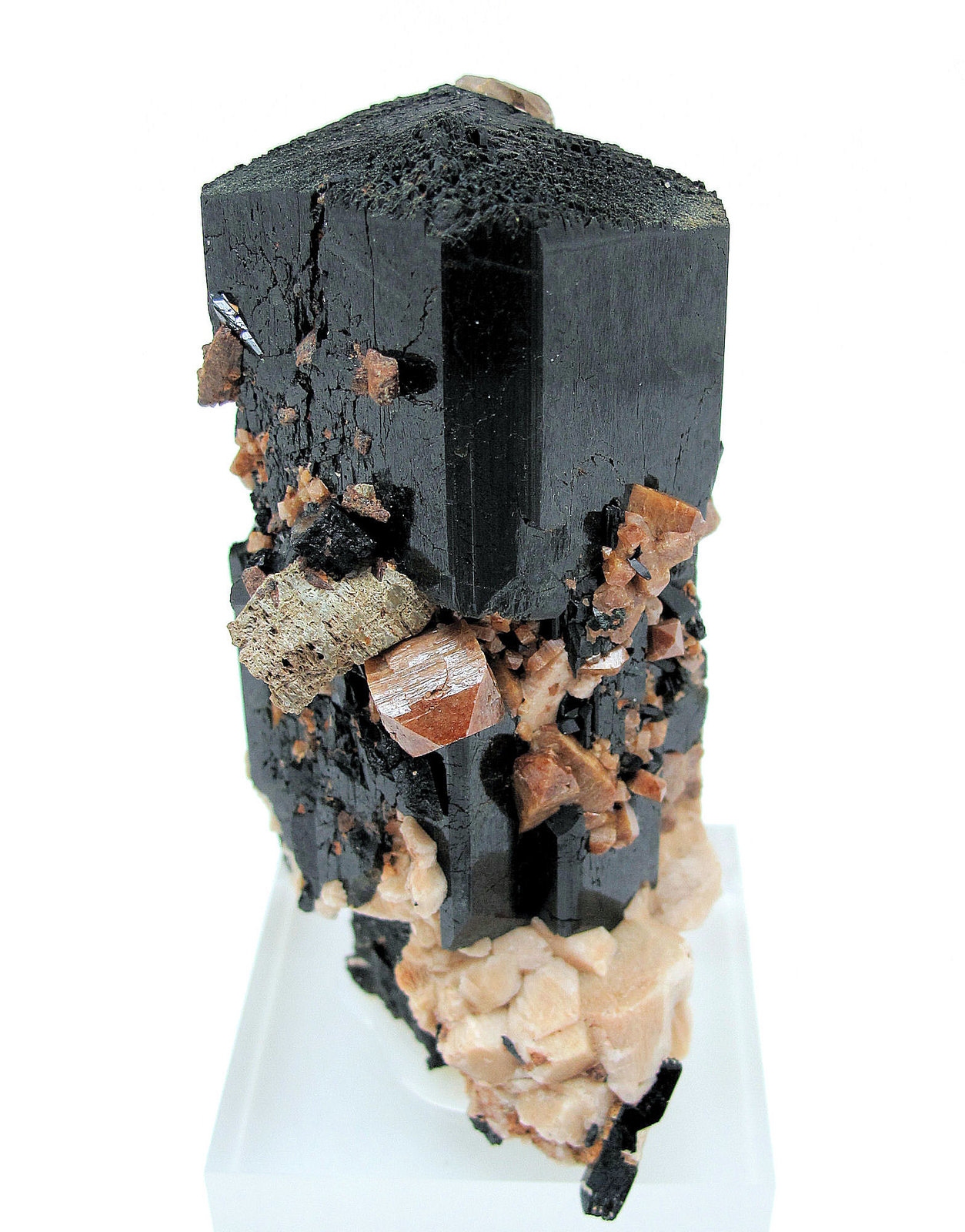 Aegirina, zircón, ortoclasa, parisita-(Ce)
82 mm x 66 mm. Cristal principal: 82 mm de altura
(Autor: Carles Millan)