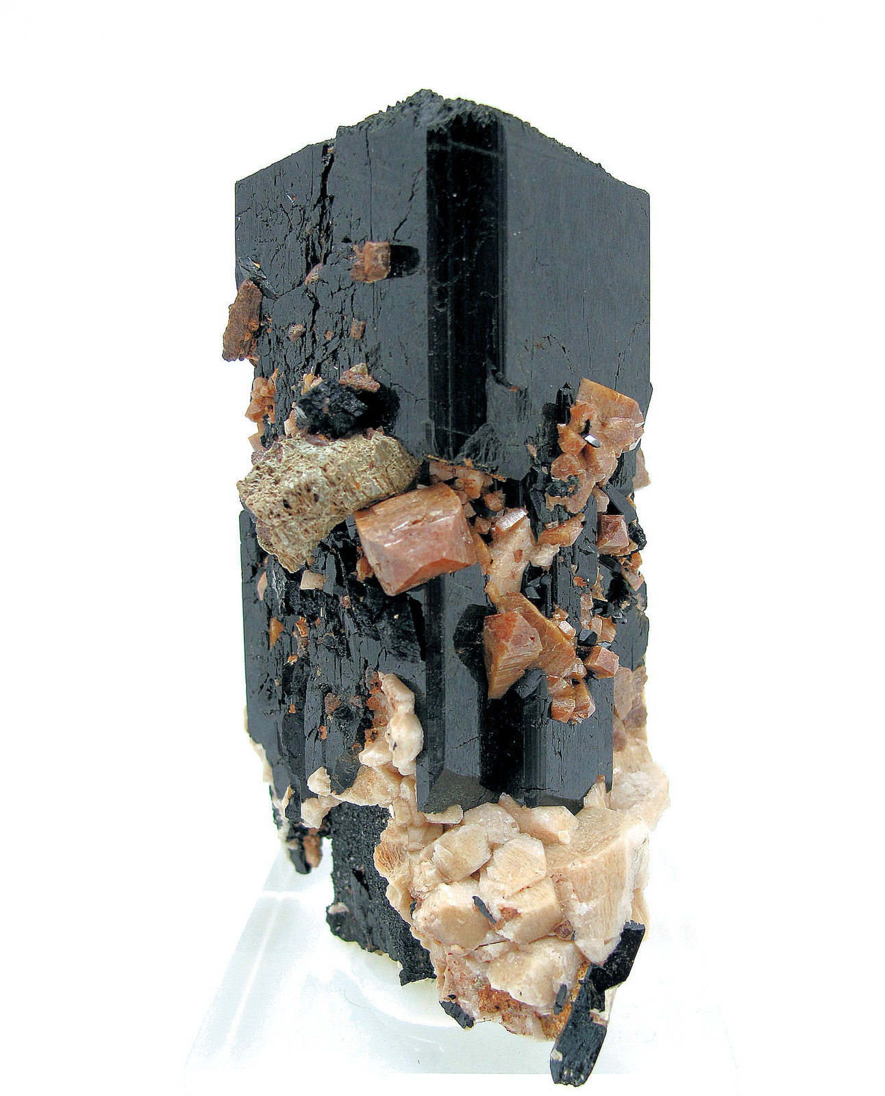 Aegirina, zircón, ortoclasa, parisita-(Ce)
82 mm x 66 mm. Cristal principal: 82 mm de altura
(Autor: Carles Millan)