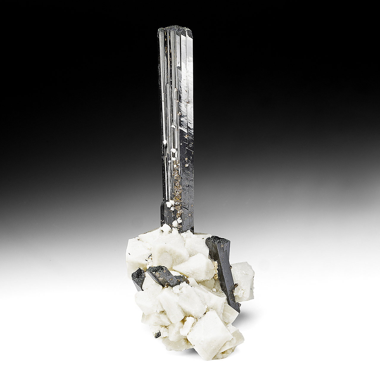 Aegirina, Ortoclasa
139 mm x 67 mm. Medidas del cristal mayor: 90 mm x 15 mm x 9 mm
(Autor: Carles Millan)