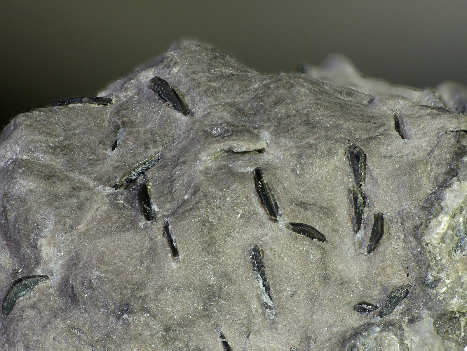Magnesita (variedad giobertita)
c.v. 28 mm
(Autor: Javier Rodriguez)